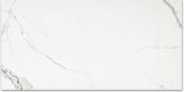 Polished Love 24X48 | Marino Tile NY