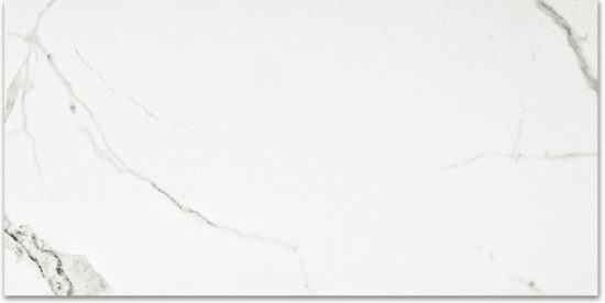 Polished Love 24X48 | Marino Tile NY