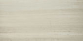 Polished Passion 12X24 | Marino Tile NY