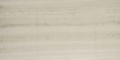 Polished Passion 24X48 | Marino Tile NY