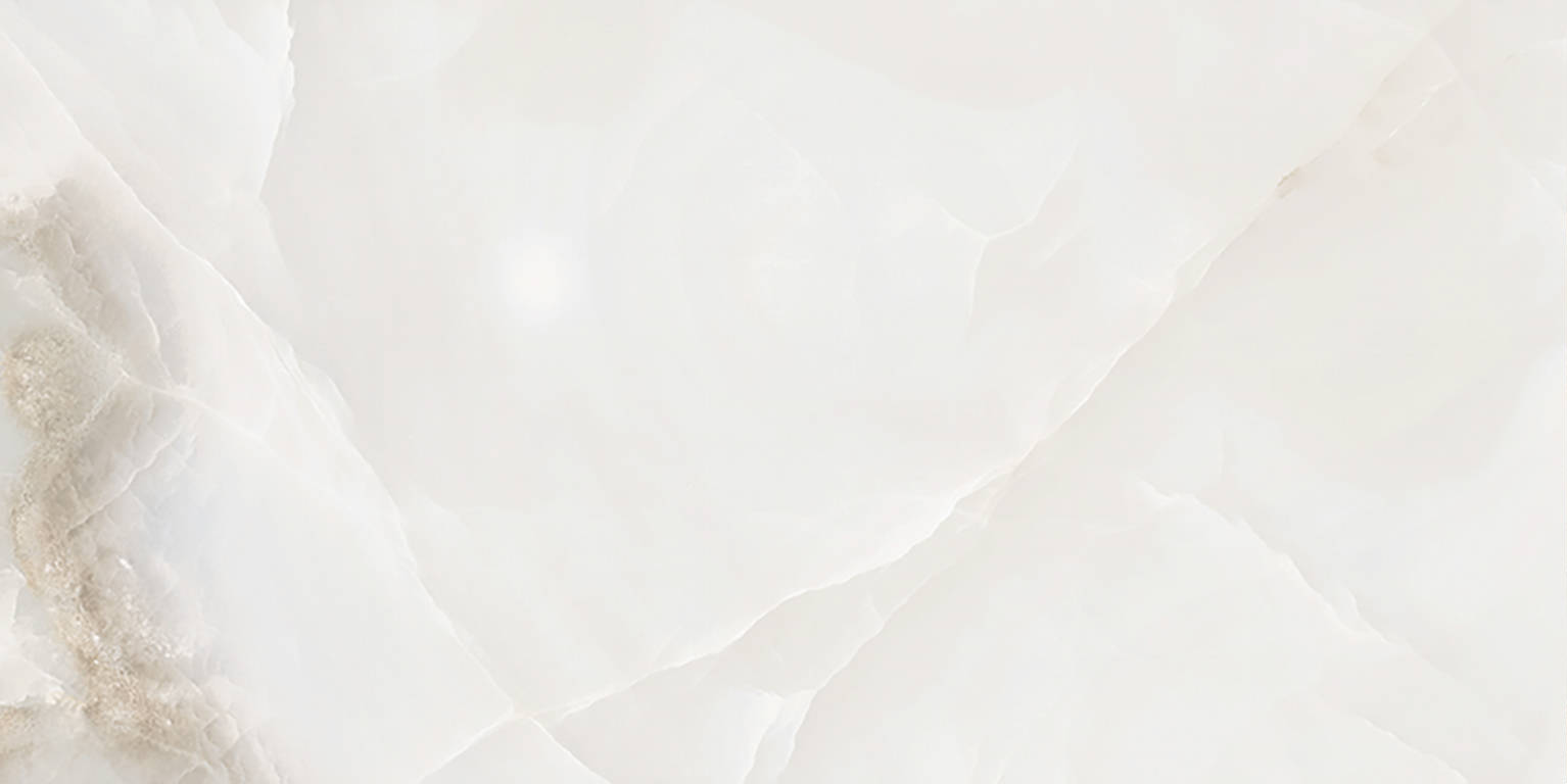 Rendezvous White Polished 12x24 | Marino Tile NY