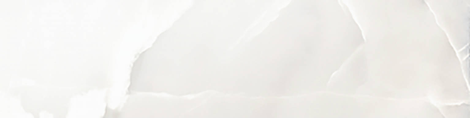 Rendezvous White Polished 3x12 | Marino Tile NY