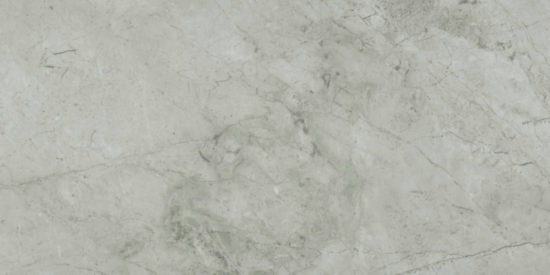 Roma Argento Honed 24X48 | Marino Tile NY