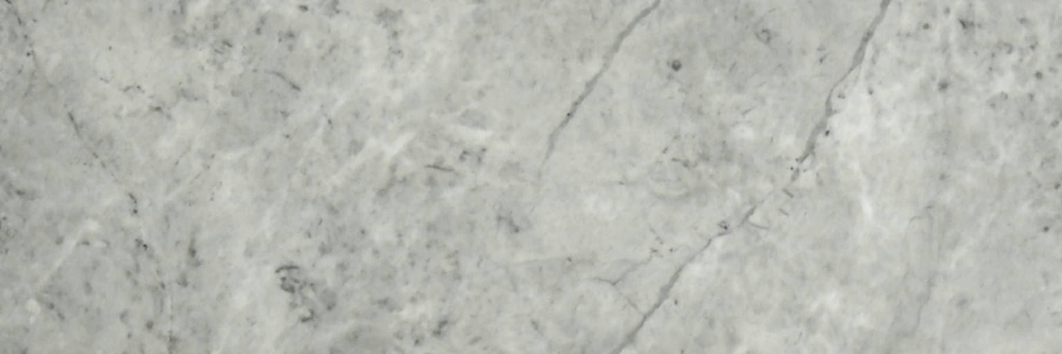 Roma Argento Honed 4X12 | Marino Tile NY