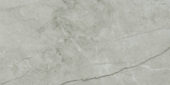 Roma Argento Polished 12X24 | Marino Tile NY