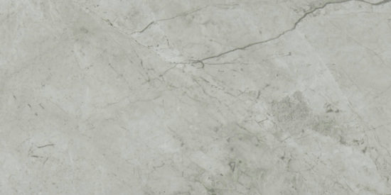 Roma Argento Polished 12X24 | Marino Tile NY