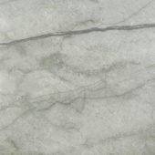 Roma Argento Polished 24X24 | Marino Tile NY