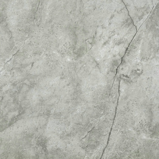 Roma Argento Polished 24X24 | Marino Tile NY