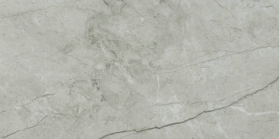 Roma Argento Polished 24X48 | Marino Tile NY