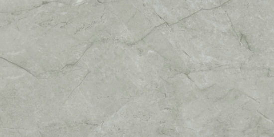 Roma Argento Polished 24X48 | Marino Tile NY