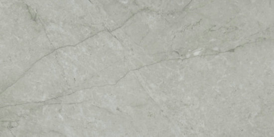 Roma Argento Polished 24X48 | Marino Tile NY