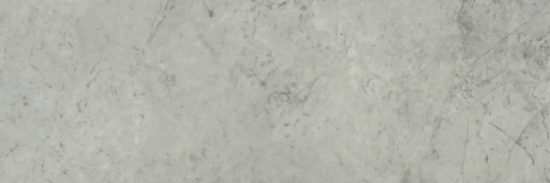 Roma Argento Polished 4X12 | Marino Tile NY