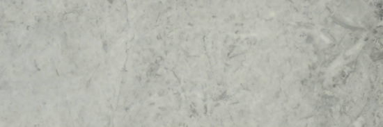 Roma Argento Polished 4X12 | Marino Tile NY
