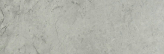 Roma Argento Polished 4X12 | Marino Tile NY