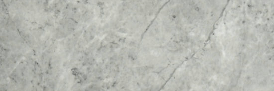 Roma Argento Polished 4X12 | Marino Tile NY