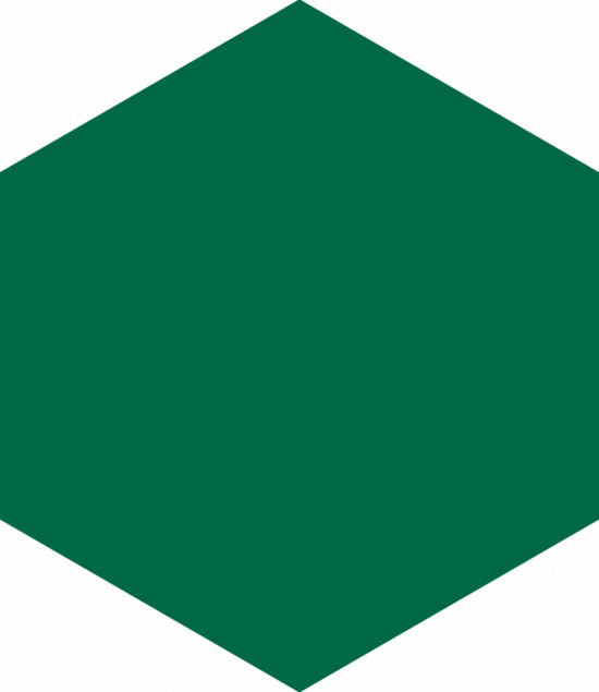 Ronda 5.5X6.3” Green Hexagon | Marino Tile NY