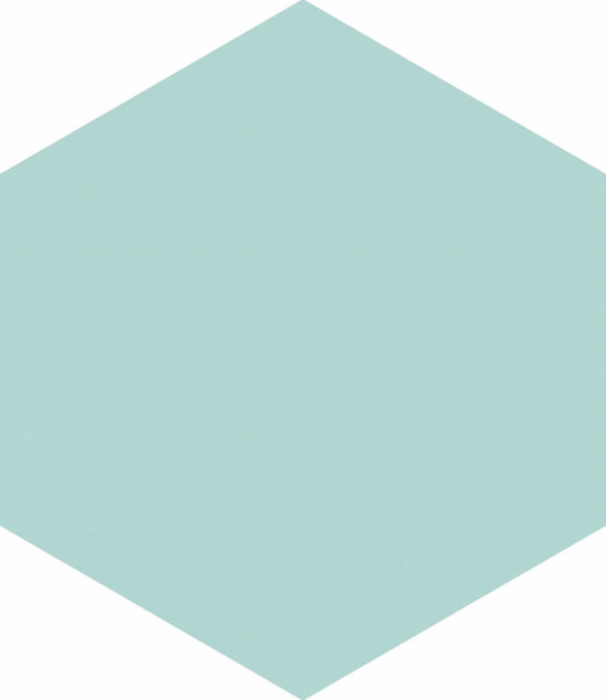 Ronda 5.5X6.3” Mint Hexagon | Marino Tile NY
