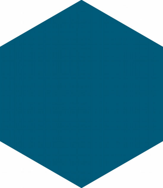 Ronda 5.5X6.3” Navy Blue Hexagon | Marino Tile NY