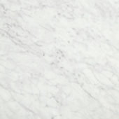 San Giulio Gioia Polished 24X24 | Marino Tile NY