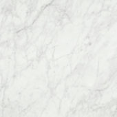 San Giulio Gioia Polished 24X24 | Marino Tile NY