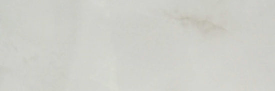 Sorrento Onyx Honed 4X12 | Marino Tile NY