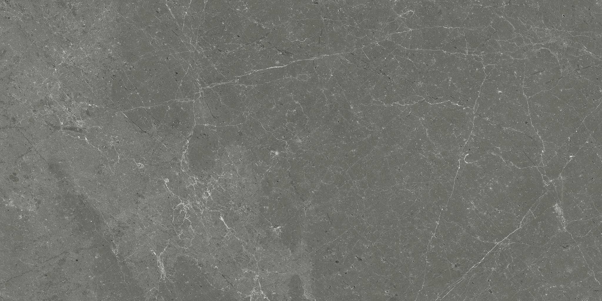 Stark Carbon 12x24