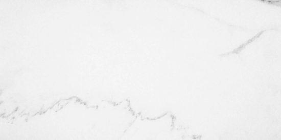 Statuario Venezia Honed 12X24 | Marino Tile NY