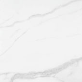 Statuario Venezia Honed 24X24 | Marino Tile NY
