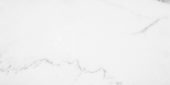 Statuario Venezia Honed 24X48 | Marino Tile NY