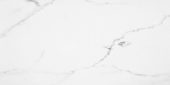 Statuario Venezia Honed 24X48 | Marino Tile NY