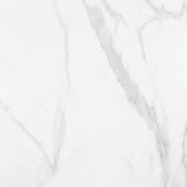 Statuario Venezia Honed 32X32 | Marino Tile NY