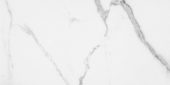 Statuario Venezia Polished 12X24 | Marino Tile NY