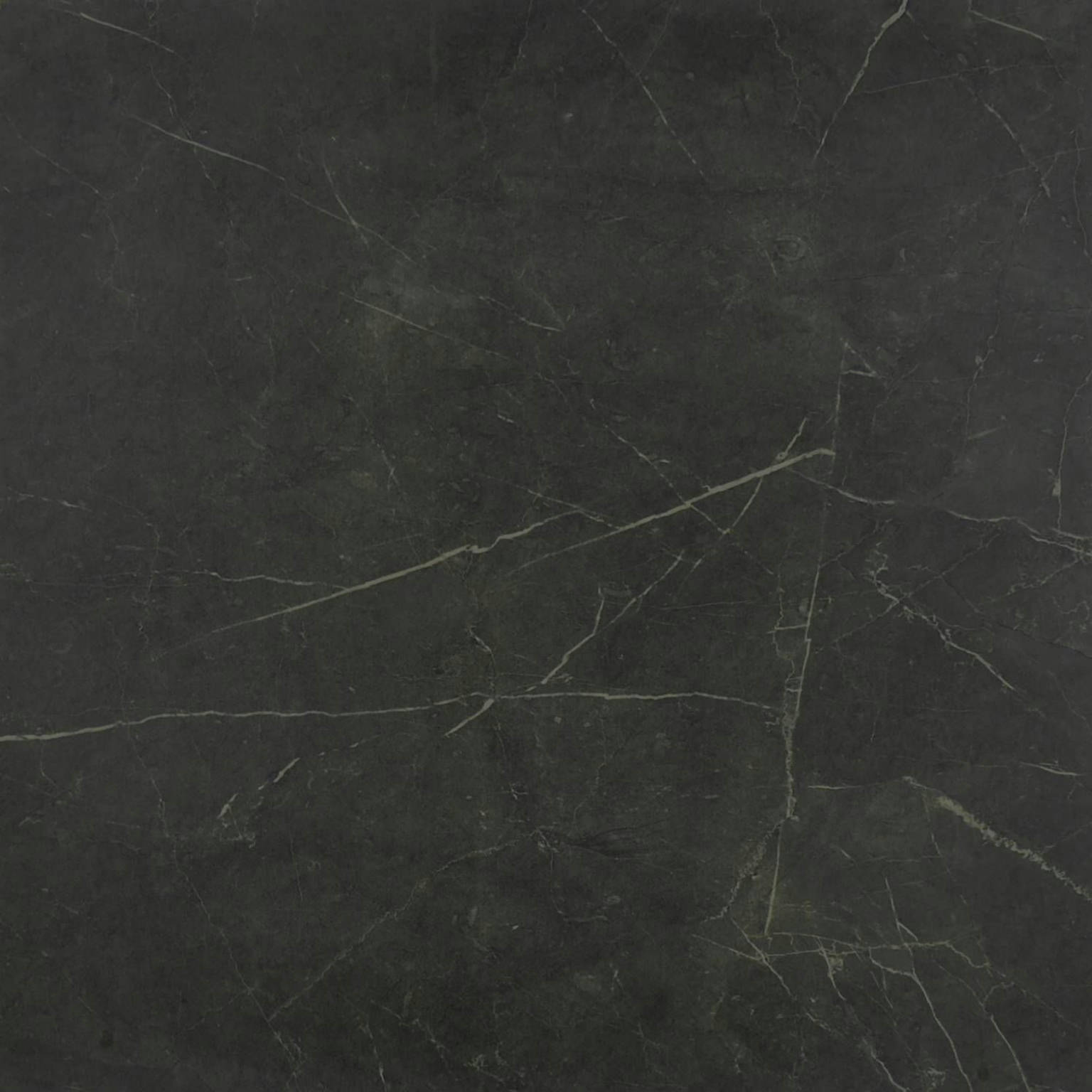 Tivoli Nero Polished 24X24 | Marino Tile NY