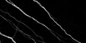 Treasure Midnight Nero 12x24 Matte | Marino Tile NY