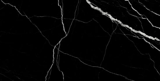 Treasure Midnight Nero 12x24 Matte | Marino Tile NY