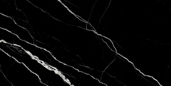 Treasure Midnight Nero 12x24 Polished | Marino Tile NY