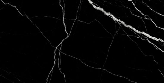 Treasure Midnight Nero 12x24 Polished | Marino Tile NY