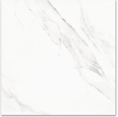 Treasure Statuario 24x24 Polished | Marino Tile NY