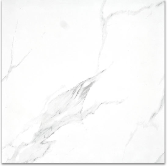 Treasure Statuario 24x24 Polished | Marino Tile NY