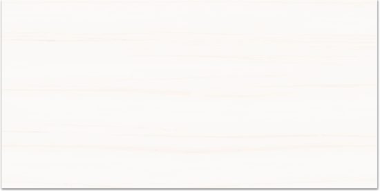 Treasure Ultimate Dolomite 12x24 Polished | Marino Tile NY