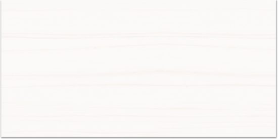 Treasure Ultimate Dolomite 24x48 Polished | Marino Tile NY
