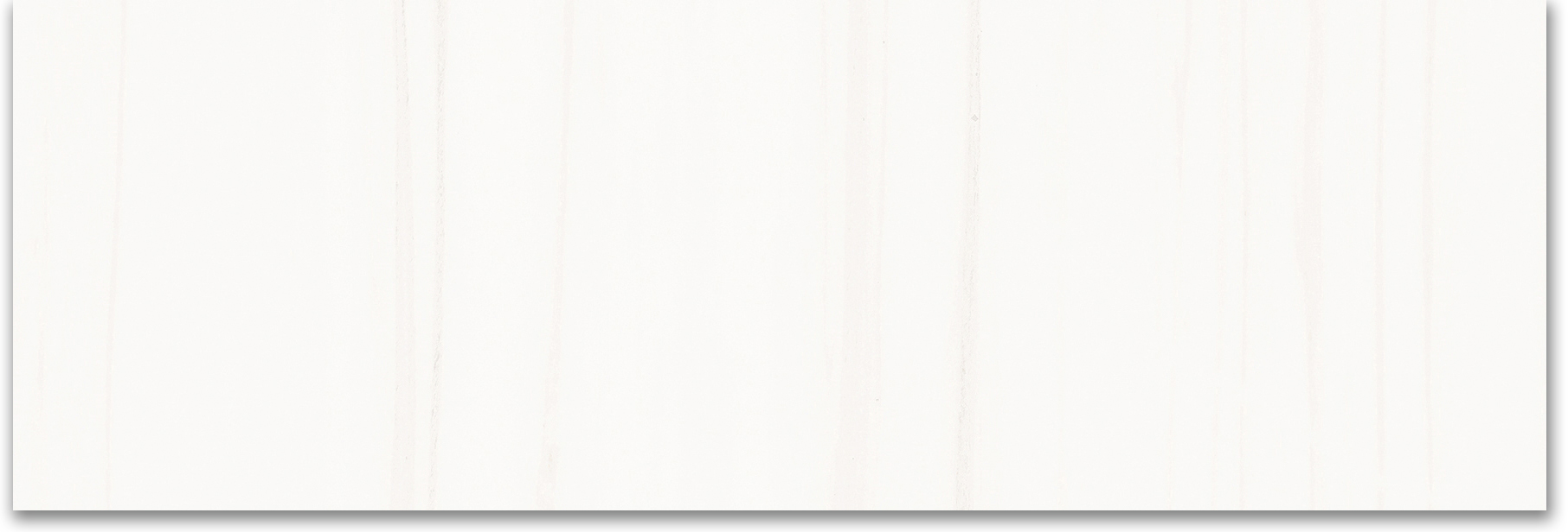 Treasure Ultimate Dolomite 4x12 Polished | Marino Tile NY
