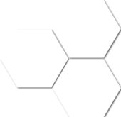 Treasure Ultimate Dolomite 6" Carved Hexagon | Marino Tile NY