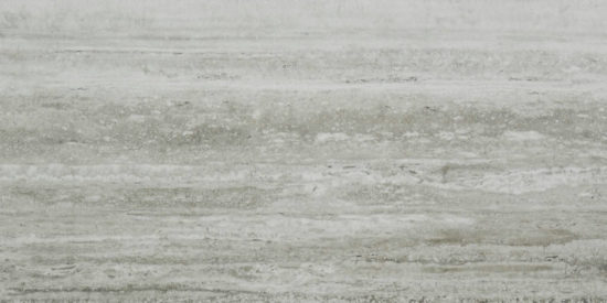 Treiste Travertini Honed 12X24 | Marino Tile NY