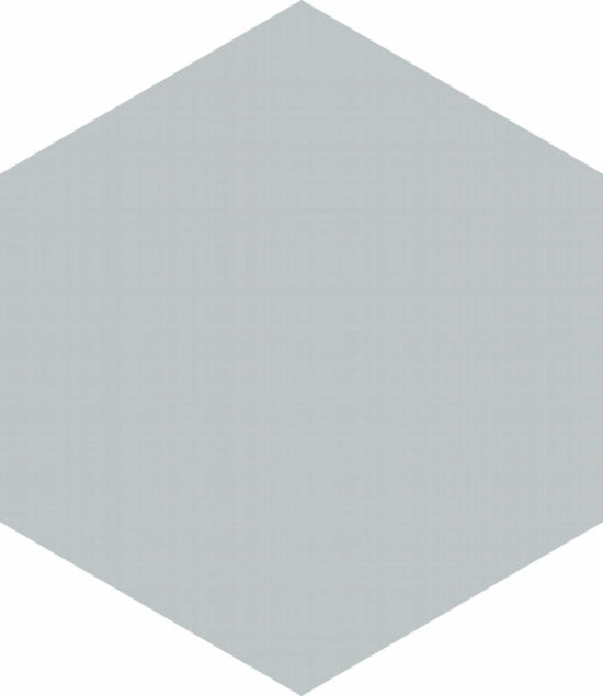 Vida 5.5X6.3” Pearl Hexagon | Marino Tile NY