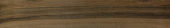 Vivid Vintage 6X36 | Marino Tile NY