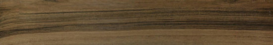 Vivid Vintage 6X36 | Marino Tile NY