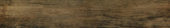 Vivid Vintage 6X36 | Marino Tile NY