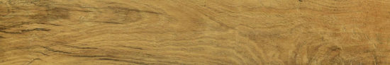 Warm Honey 6X36 | Marino Tile NY