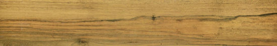 Warm Honey 6X36 | Marino Tile NY
